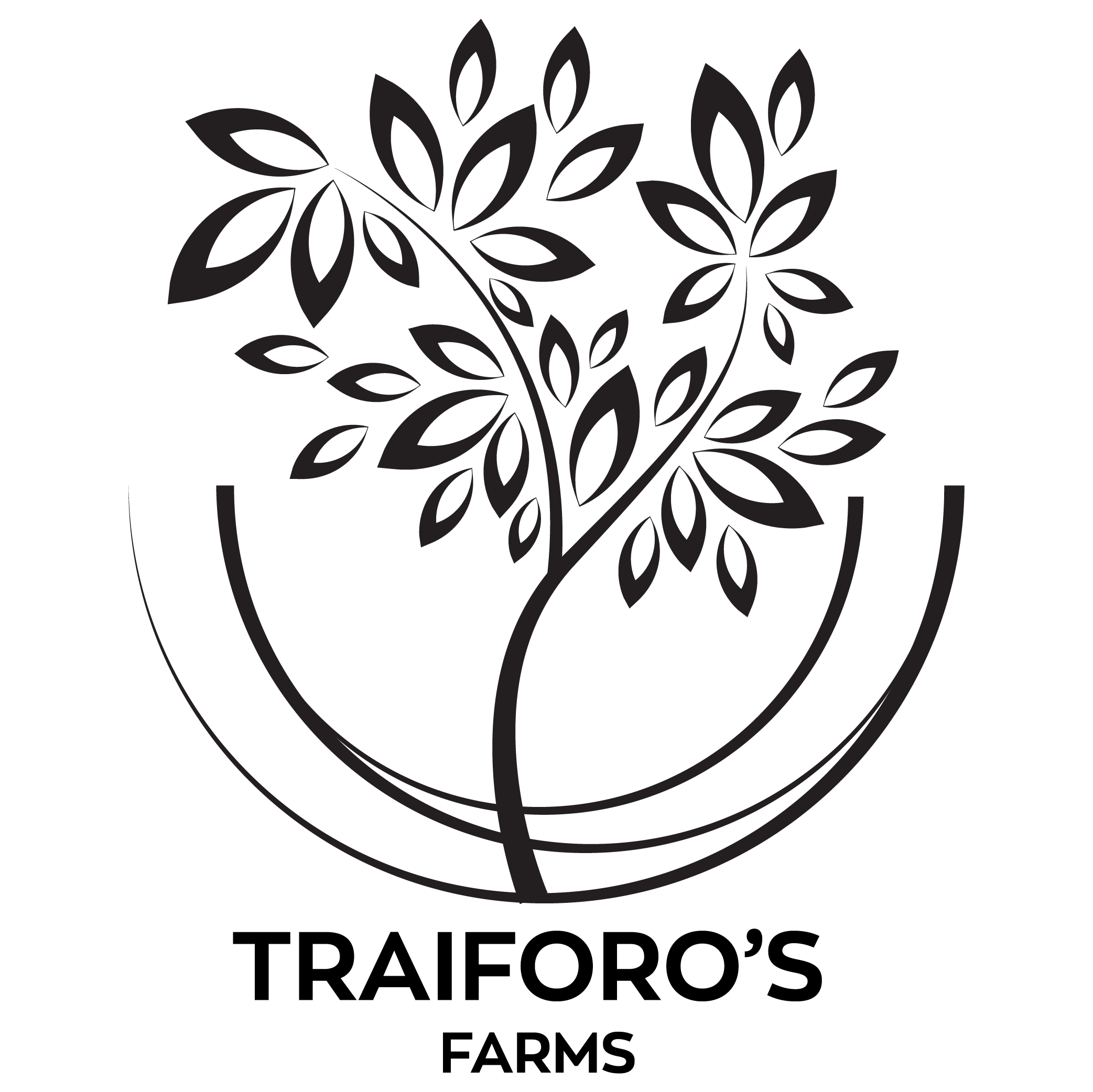 Agroktimata Traiforou